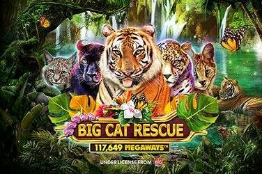 Big cat rescue megaways