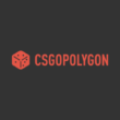 csgopolygon review